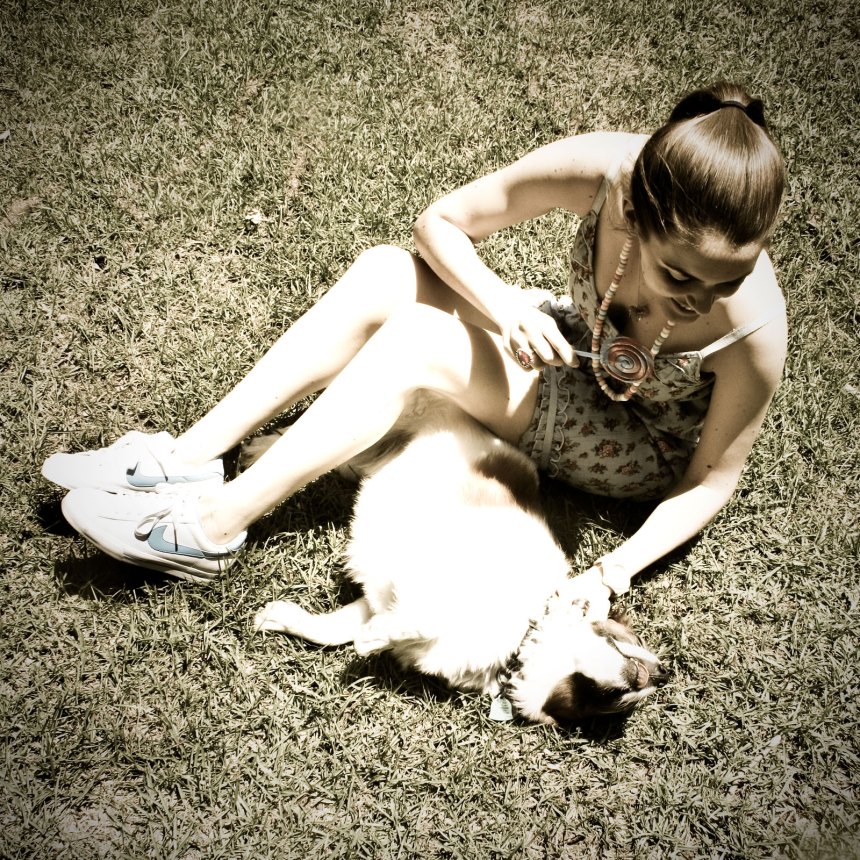 happiness is a dog and a lollipop