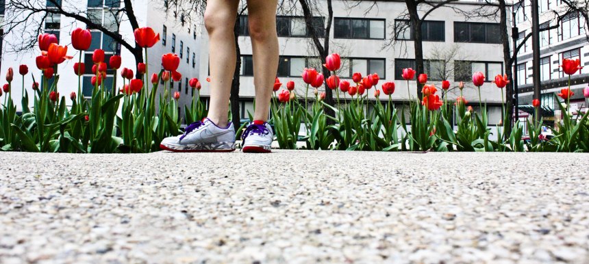 Nikes and tulips