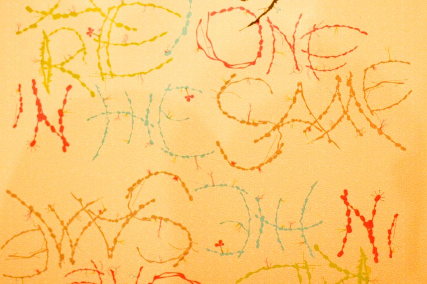 beautiful typography