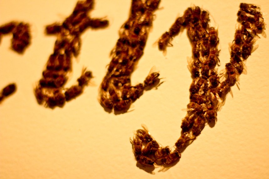 beautiful typography