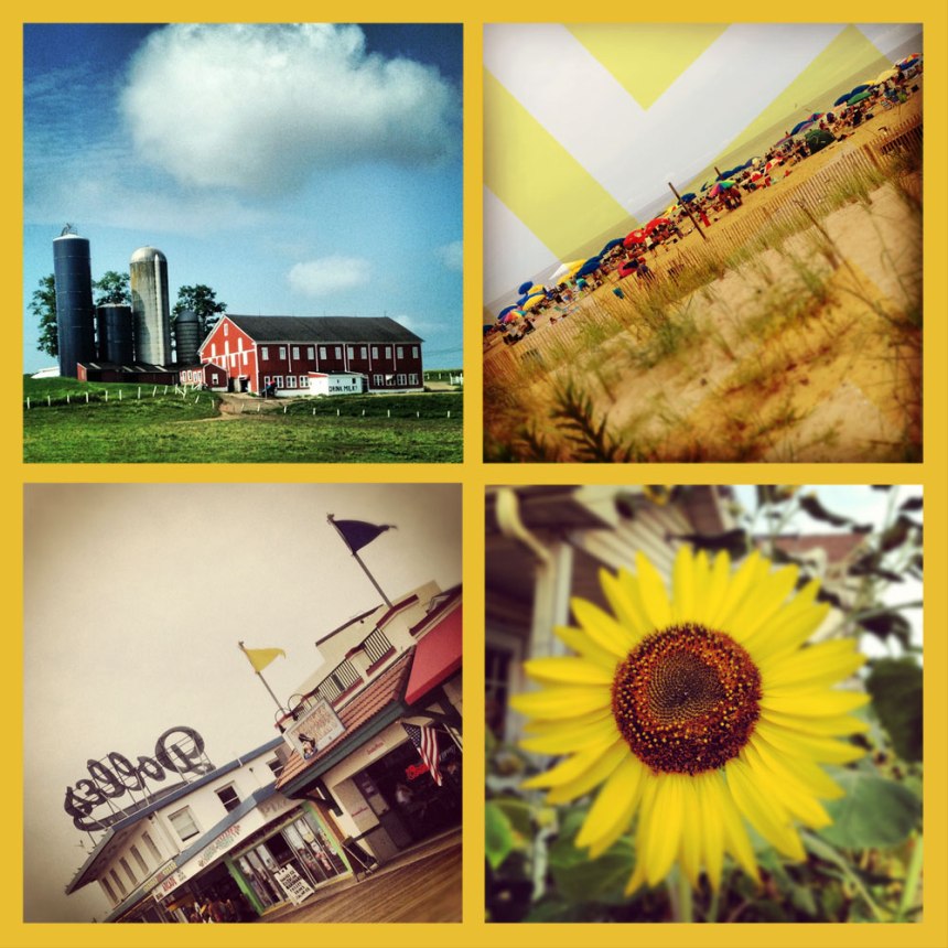 summer family vacation at the beach