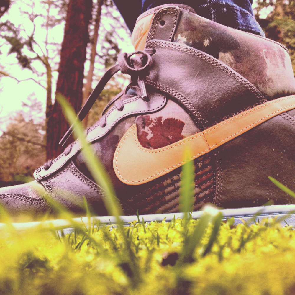 waterfalls in Oregon and Nike