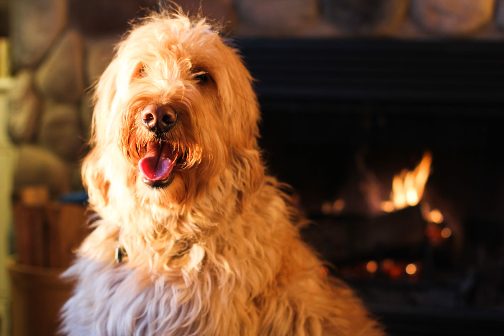 snowy weekend in WIsconsin with Nike