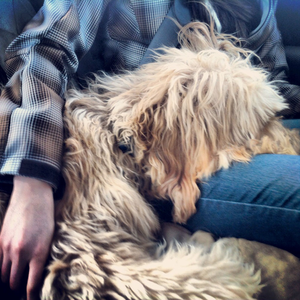 snowy weekend in WIsconsin with Nike