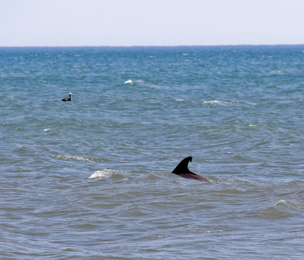 Nike and Outer Banks 