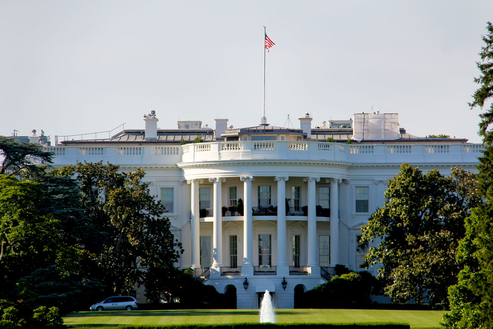 Washington DC and NIke