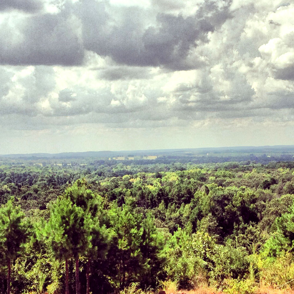 Nike Zipline in New York Texas