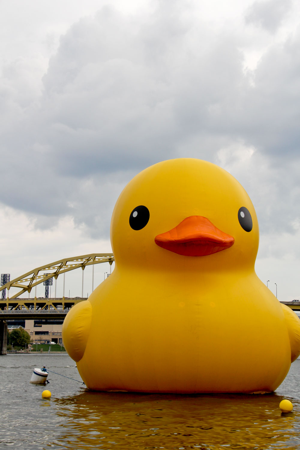 Pittsburgh rubber duck