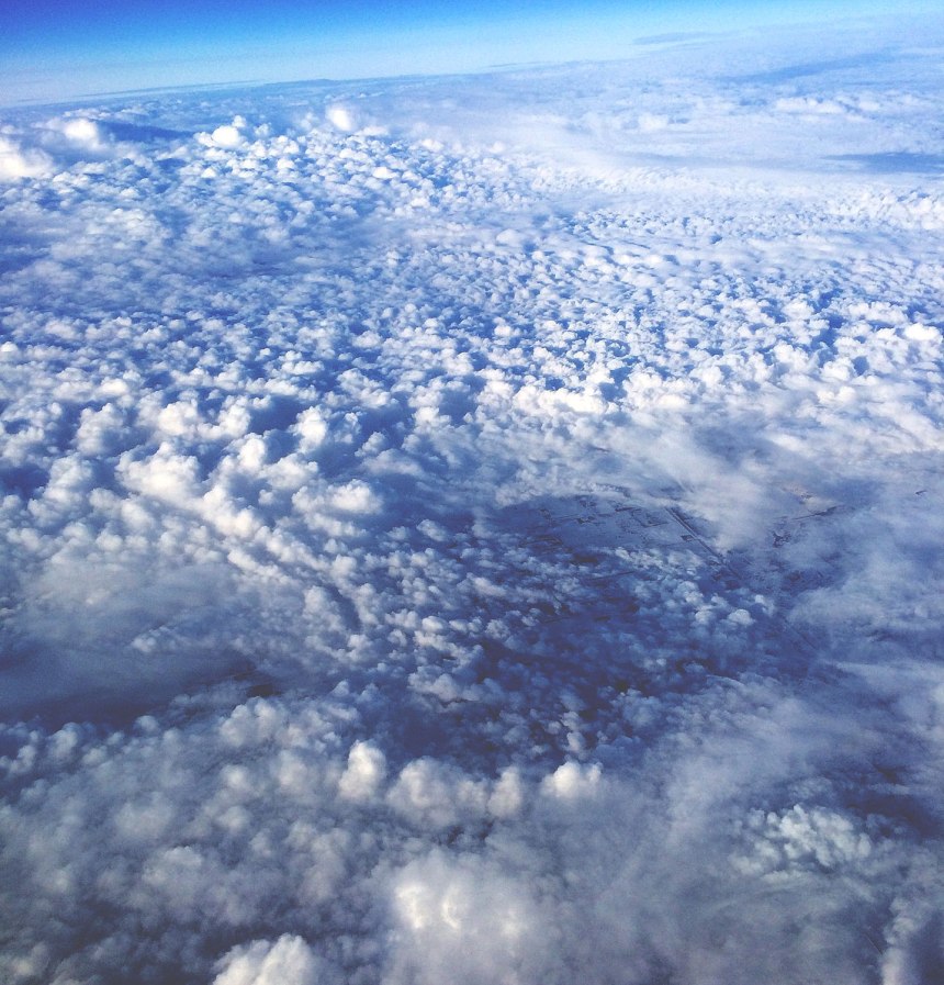 traveling around Seattle - for the love of nike 