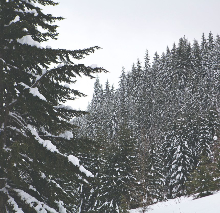 traveling around Seattle - for the love of nike 