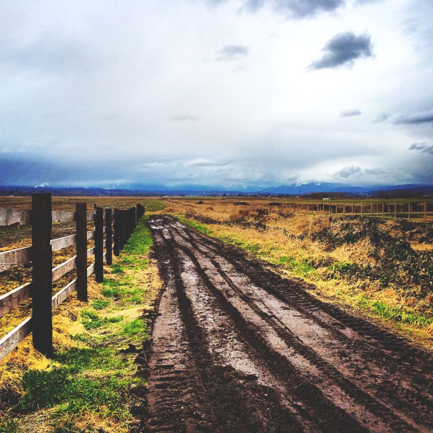 traveling around Seattle - for the love of nike 