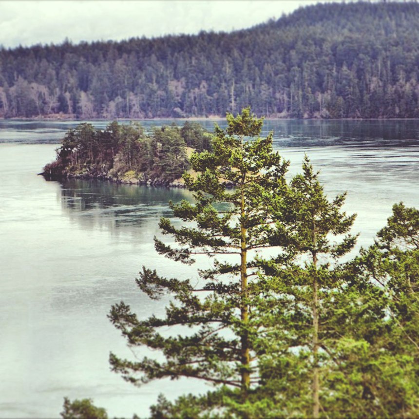 traveling around Seattle - for the love of nike 