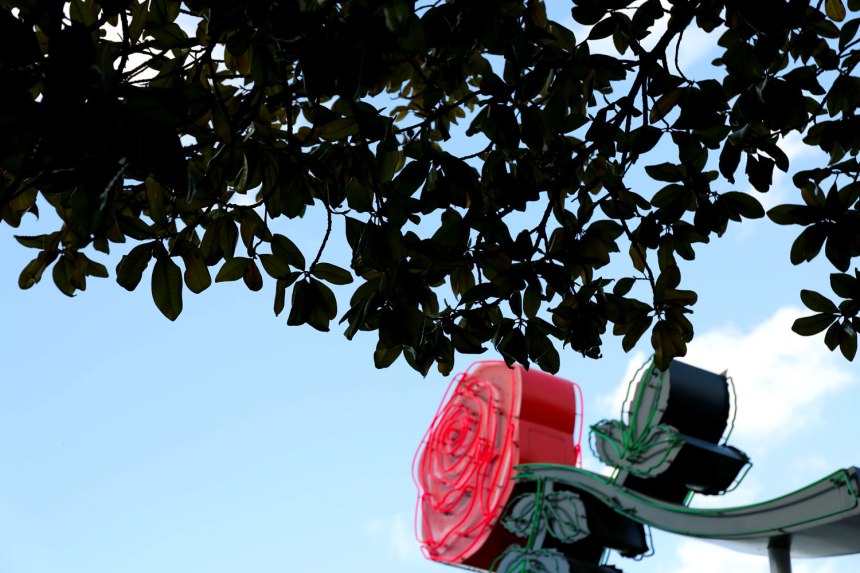 downtown Portland and fortheloveofnike