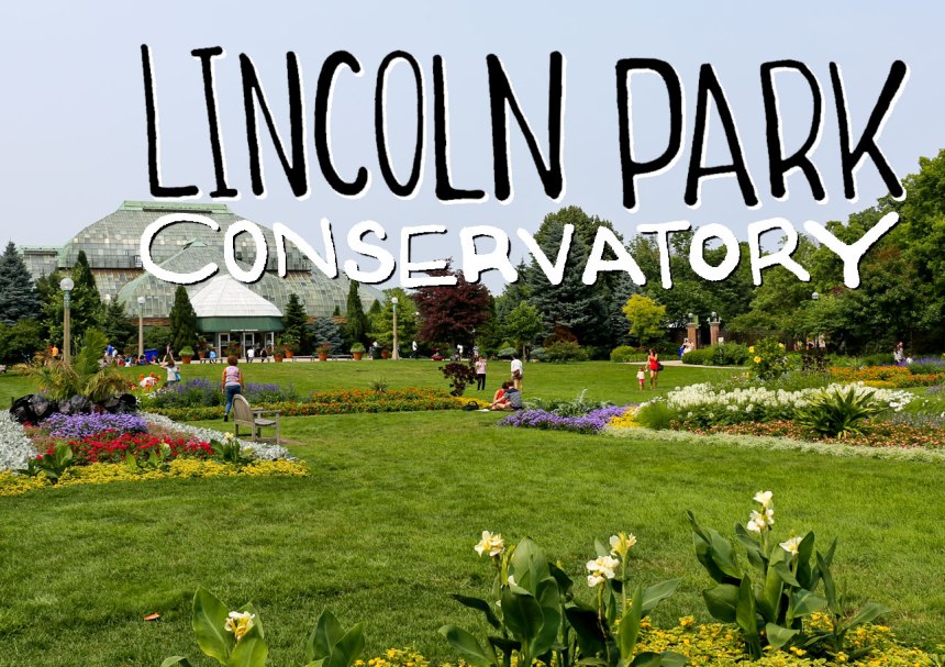 Lincoln Park like a tourist / for the love of nike