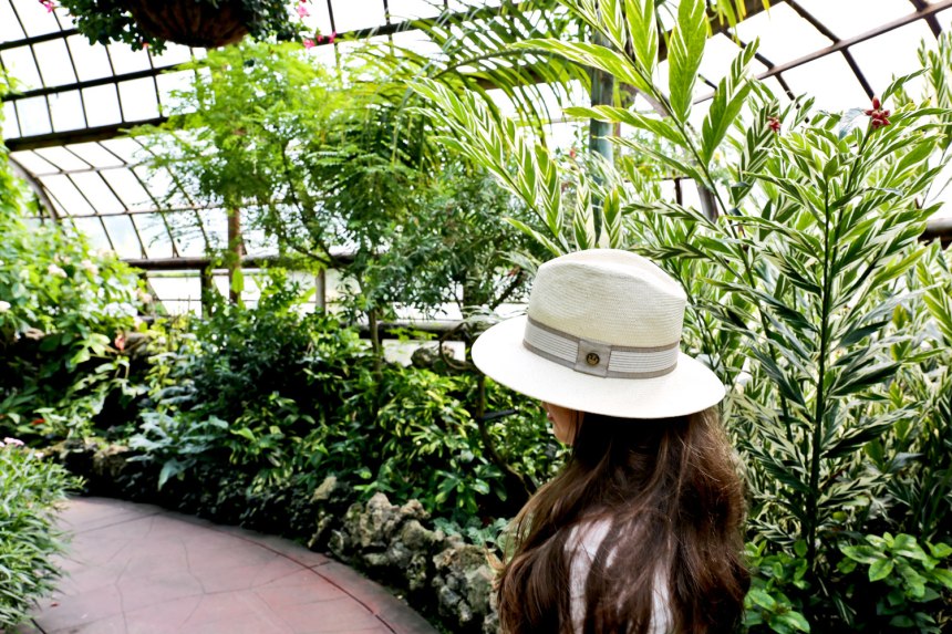 Lincoln Park like a tourist / for the love of nike