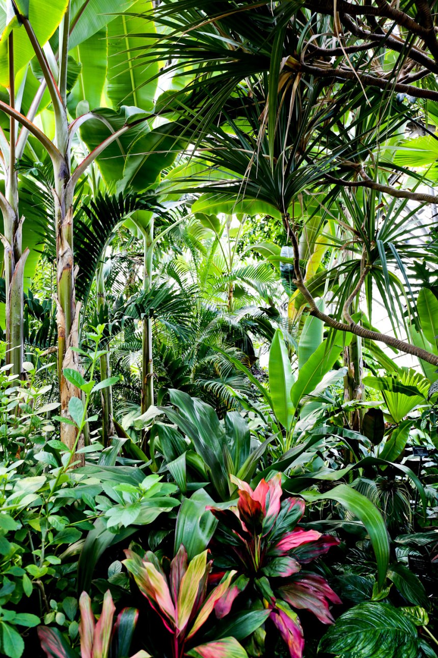 Lincoln Park like a tourist / for the love of nike