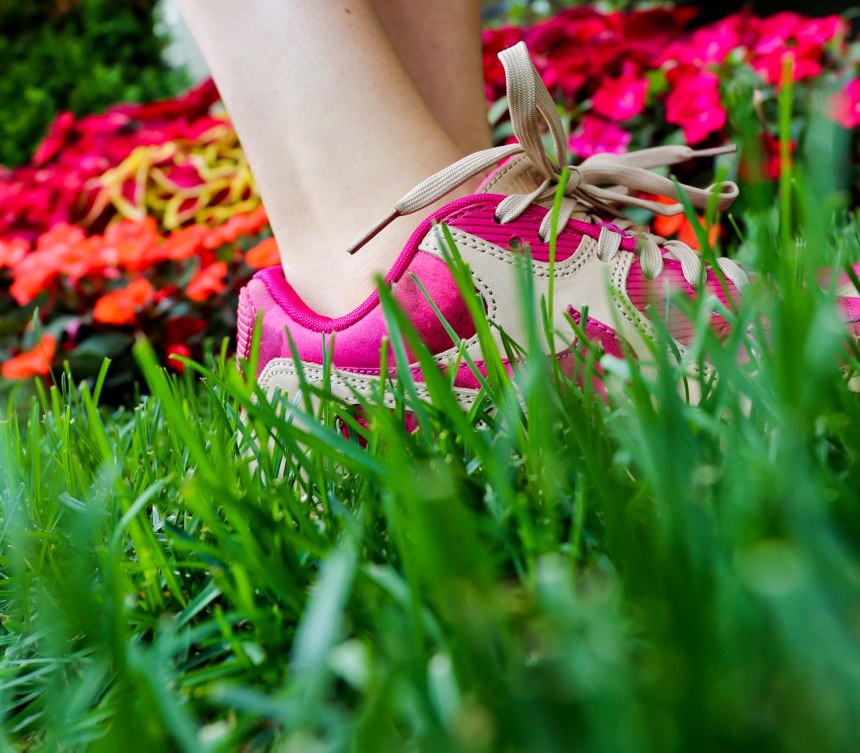 Lincoln Park like a tourist / for the love of nike