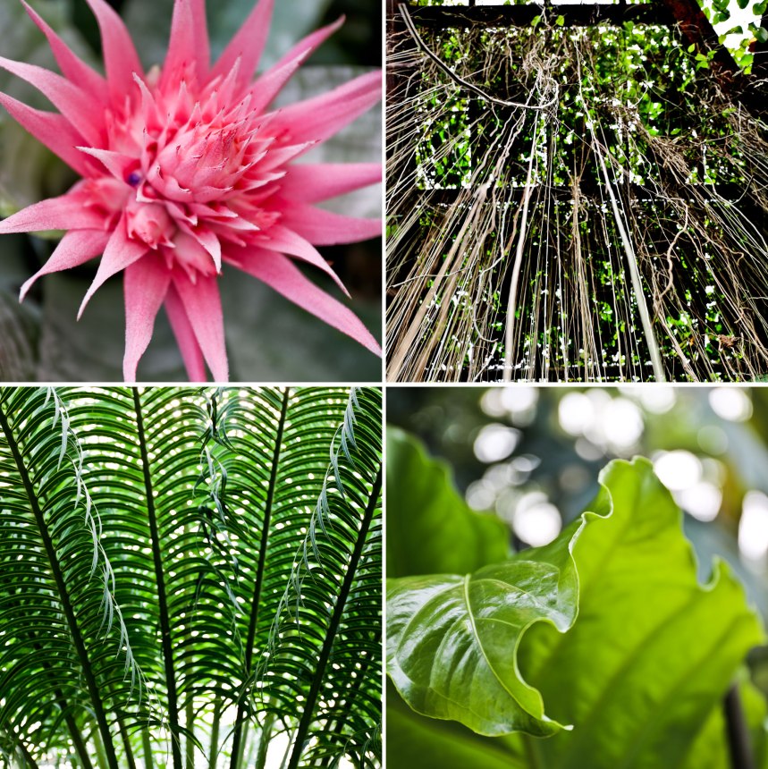 Lincoln Park like a tourist / for the love of nike