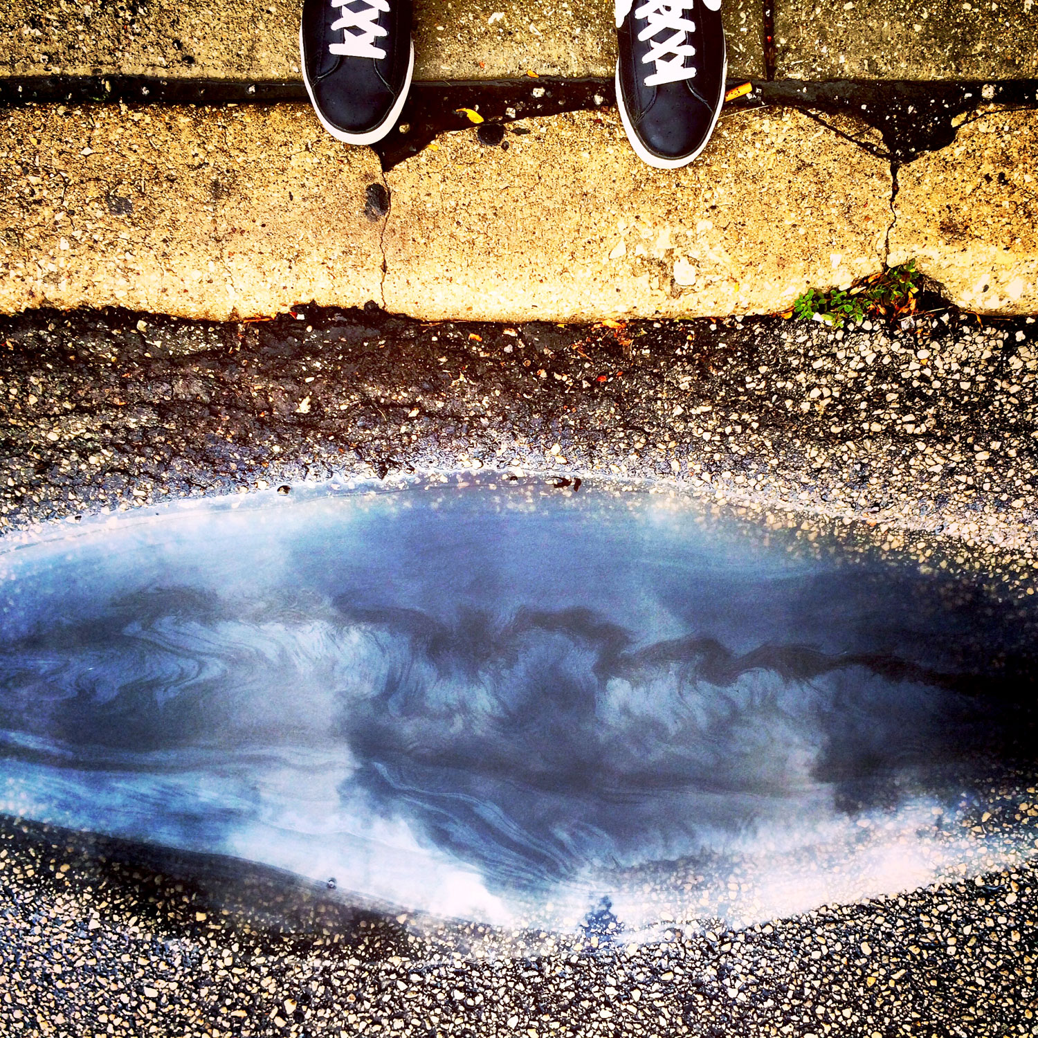 for the hate of lolla / for the love of nike