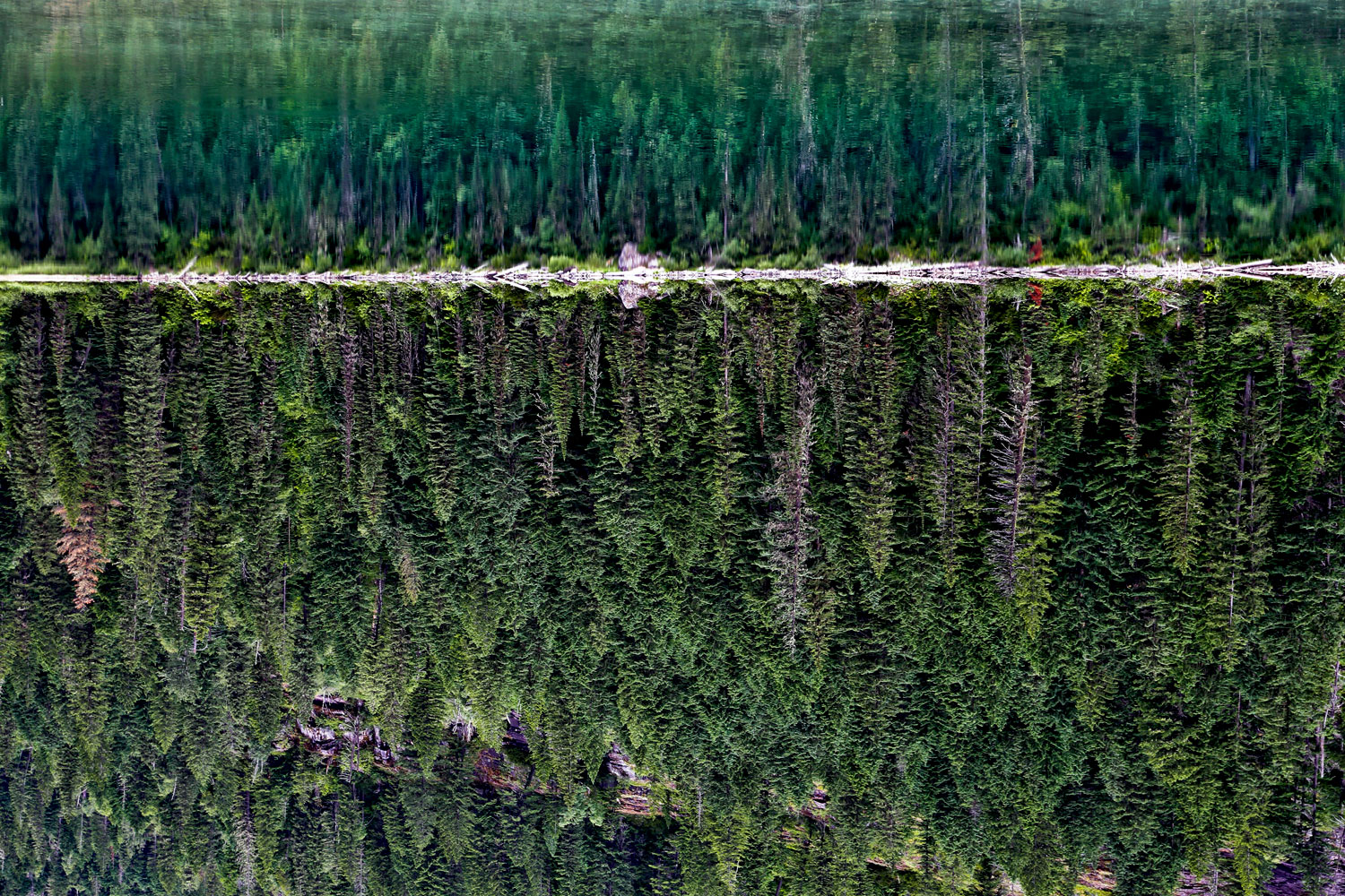Glacier National Park / for the love of nike 