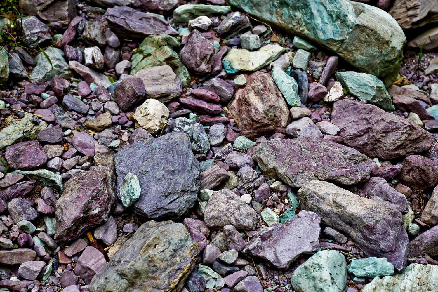 Glacier National Park / for the love of nike 