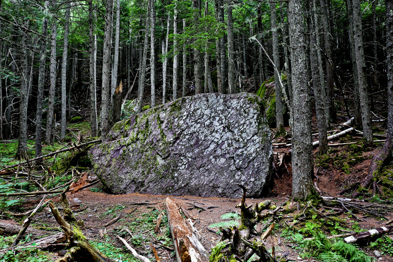 Glacier National Park / for the love of nike 