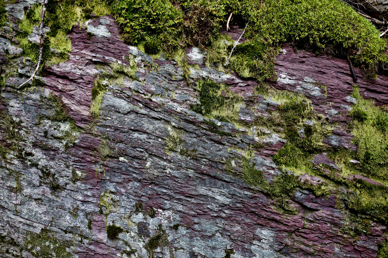 Glacier National Park / for the love of nike 