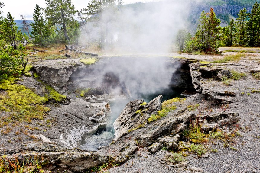 Yellowstone National Park / for the love of nike