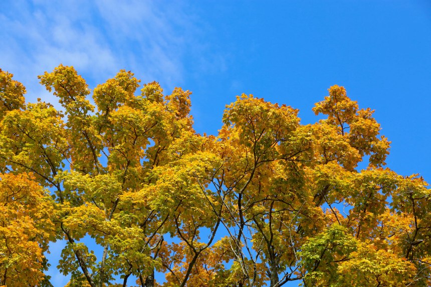 Nashville Road Trip / for the love of nike