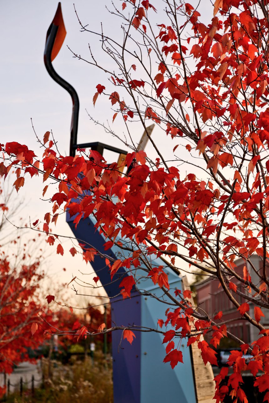 a trip to Syracuse / for the love of nike 