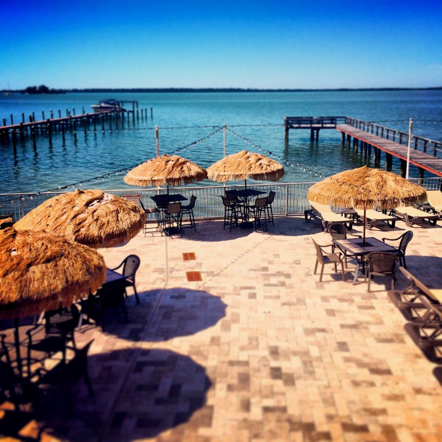 Salvador Dalí in Florida / for the love of nike 