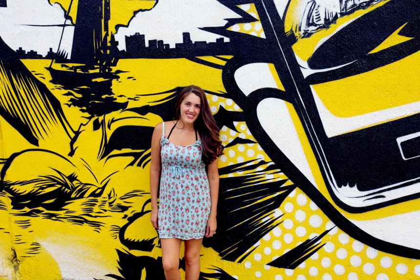 Chicago Air and Water Show 2015 / for the love of nike