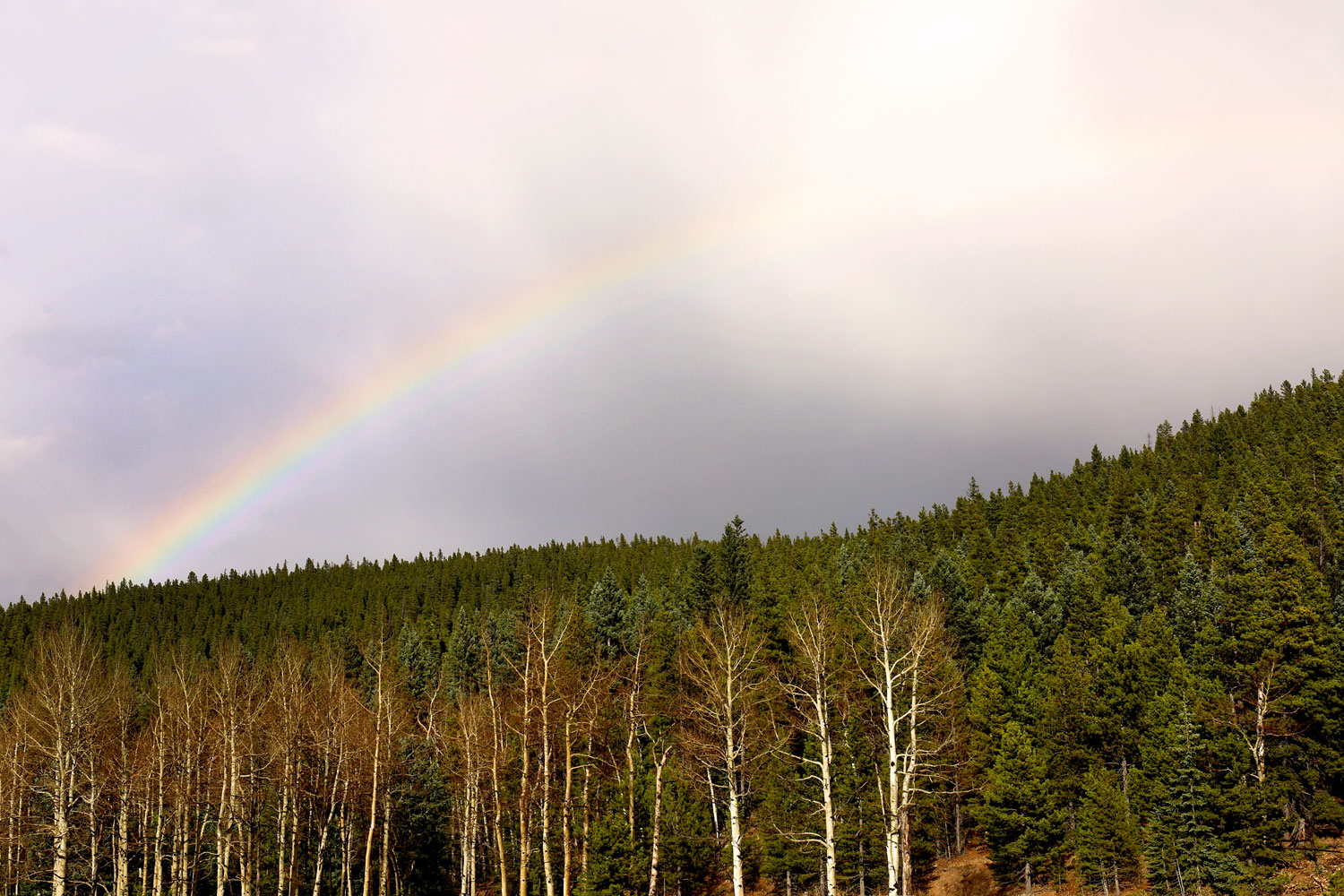 Chief Mountain / for the love of nike