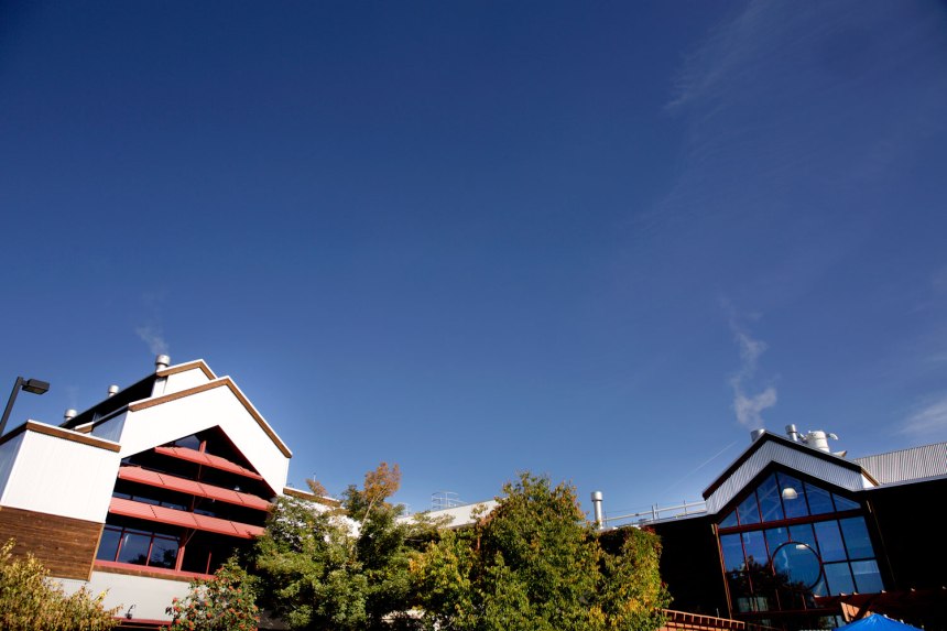 New Belgium Brewery / for the love of nike 