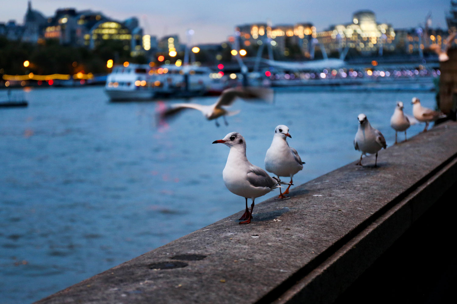 London in Nikes / for the love of Nike