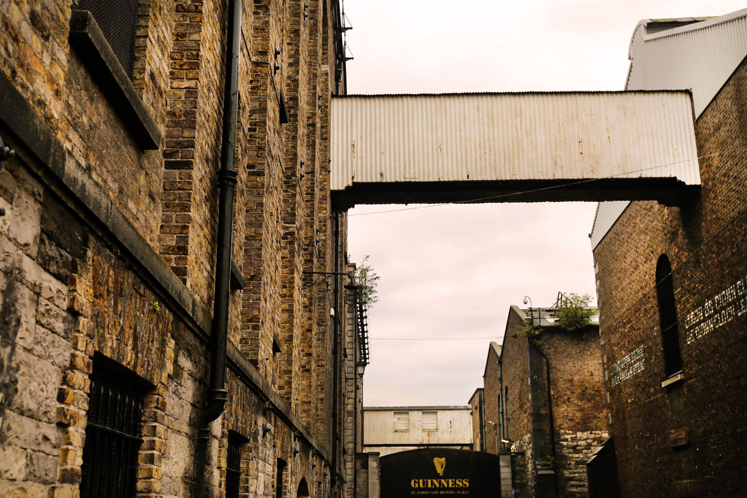 Dublin Once Again / for the love of nike