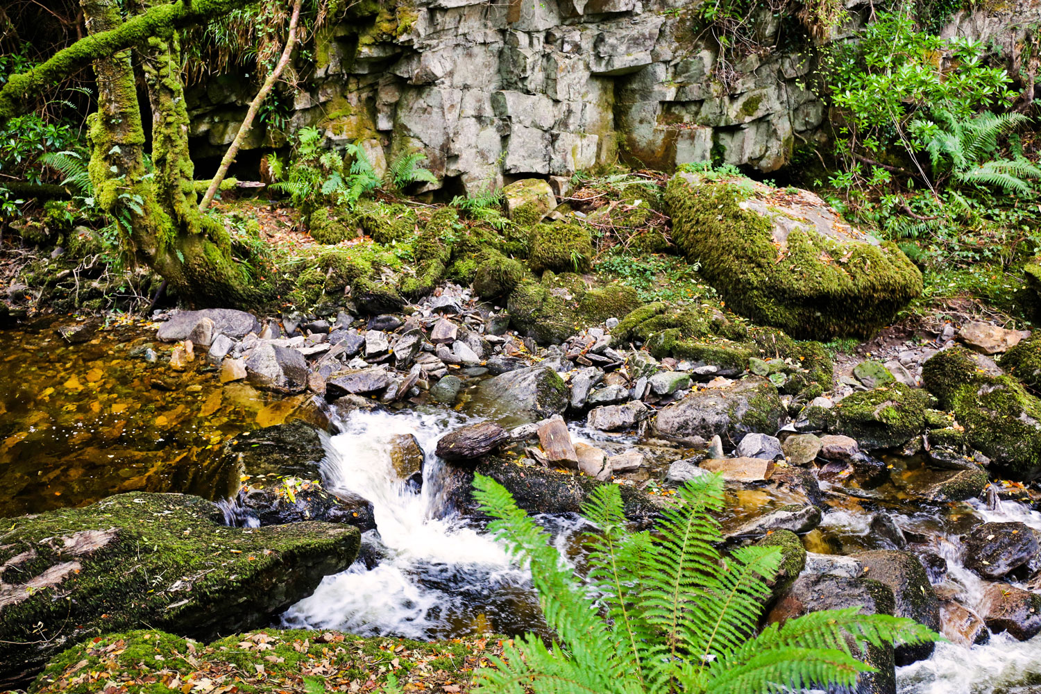 Killarney, Ireland / for the love of nike