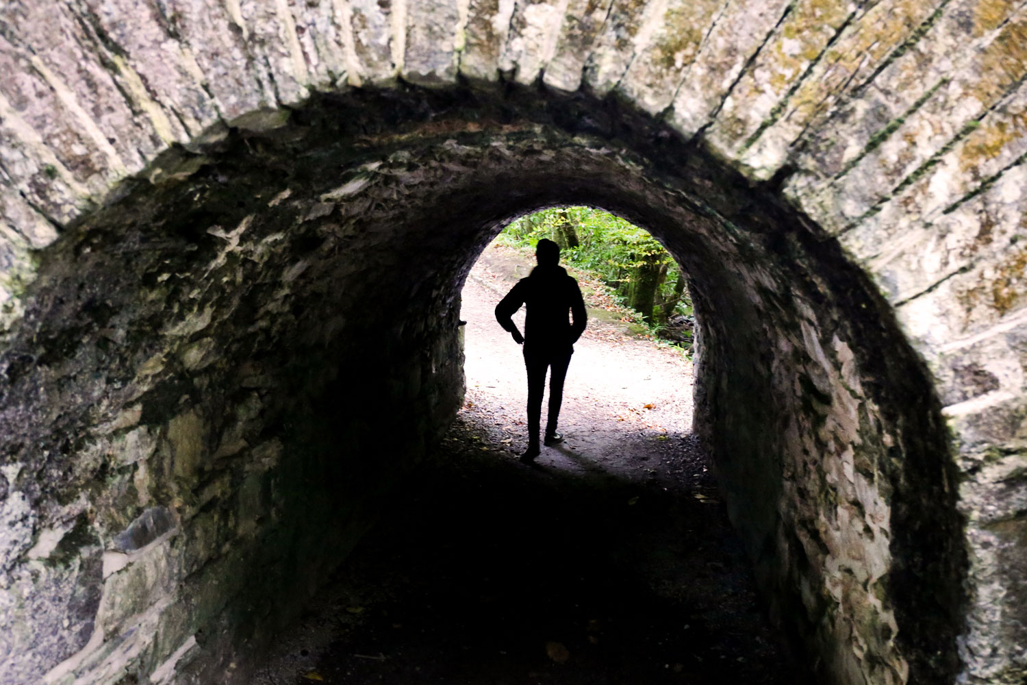 Killarney, Ireland / for the love of nike