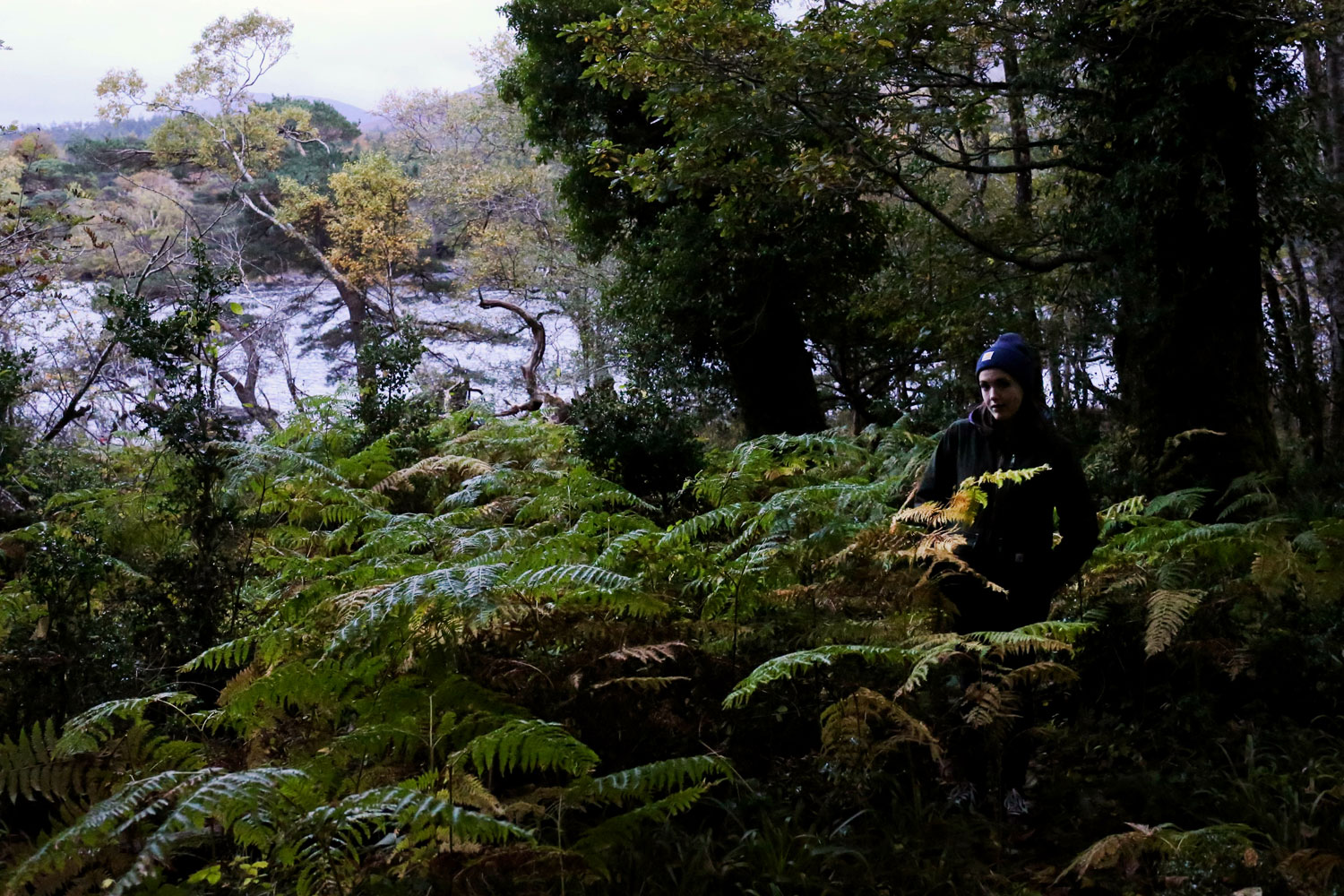 Killarney, Ireland / for the love of nike