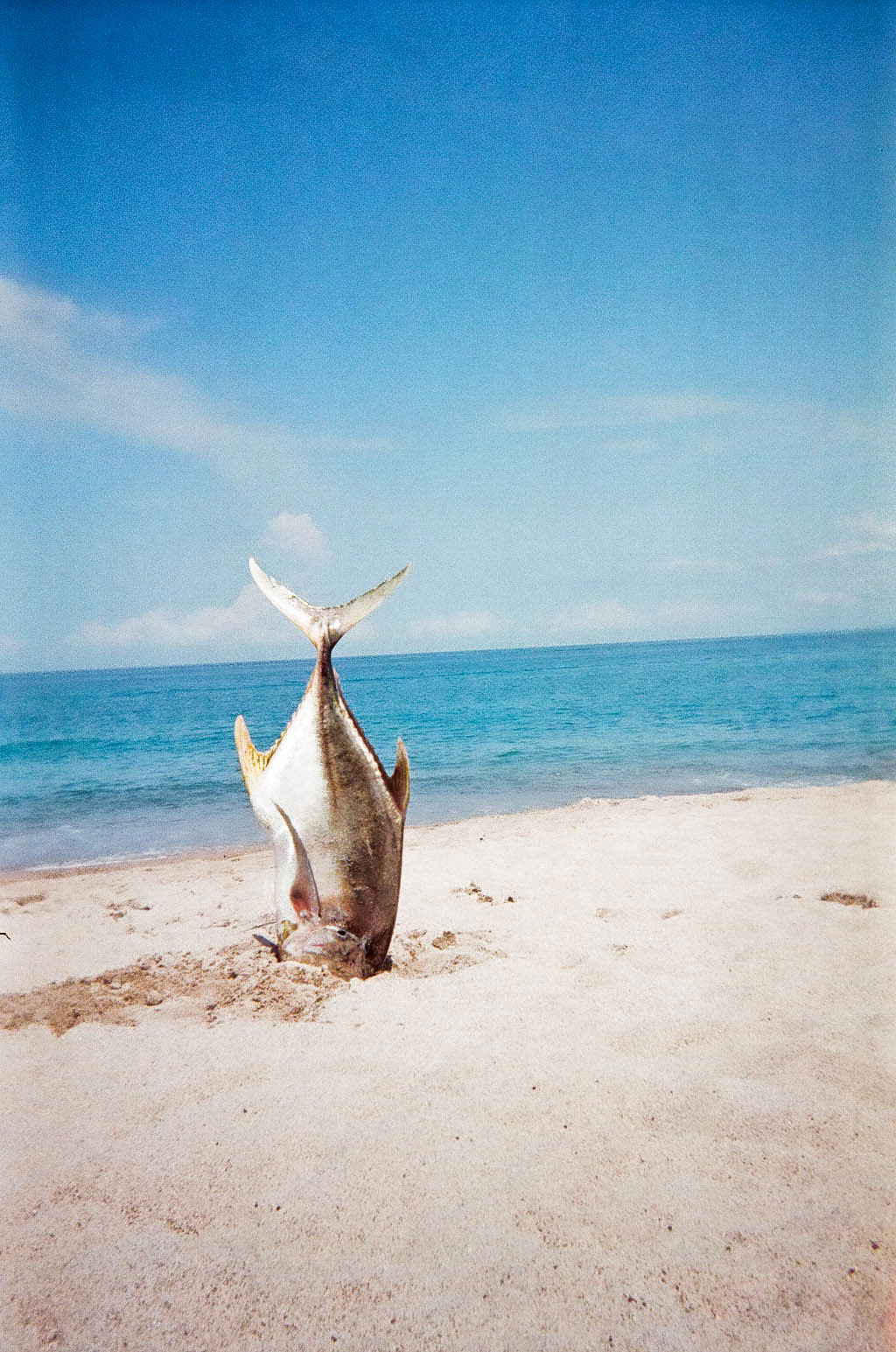 Puerto Vallarta / for the love of nike