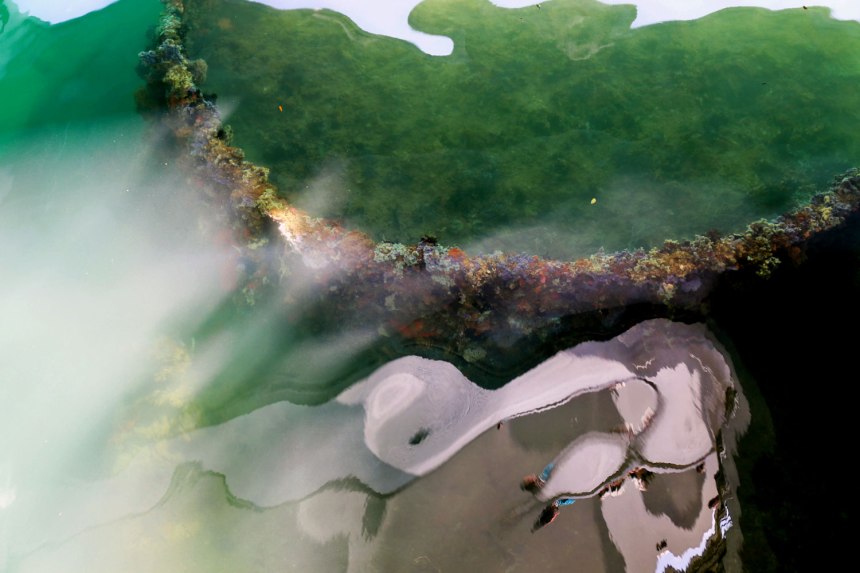 Honolulu, Hawaii / for the love of nike