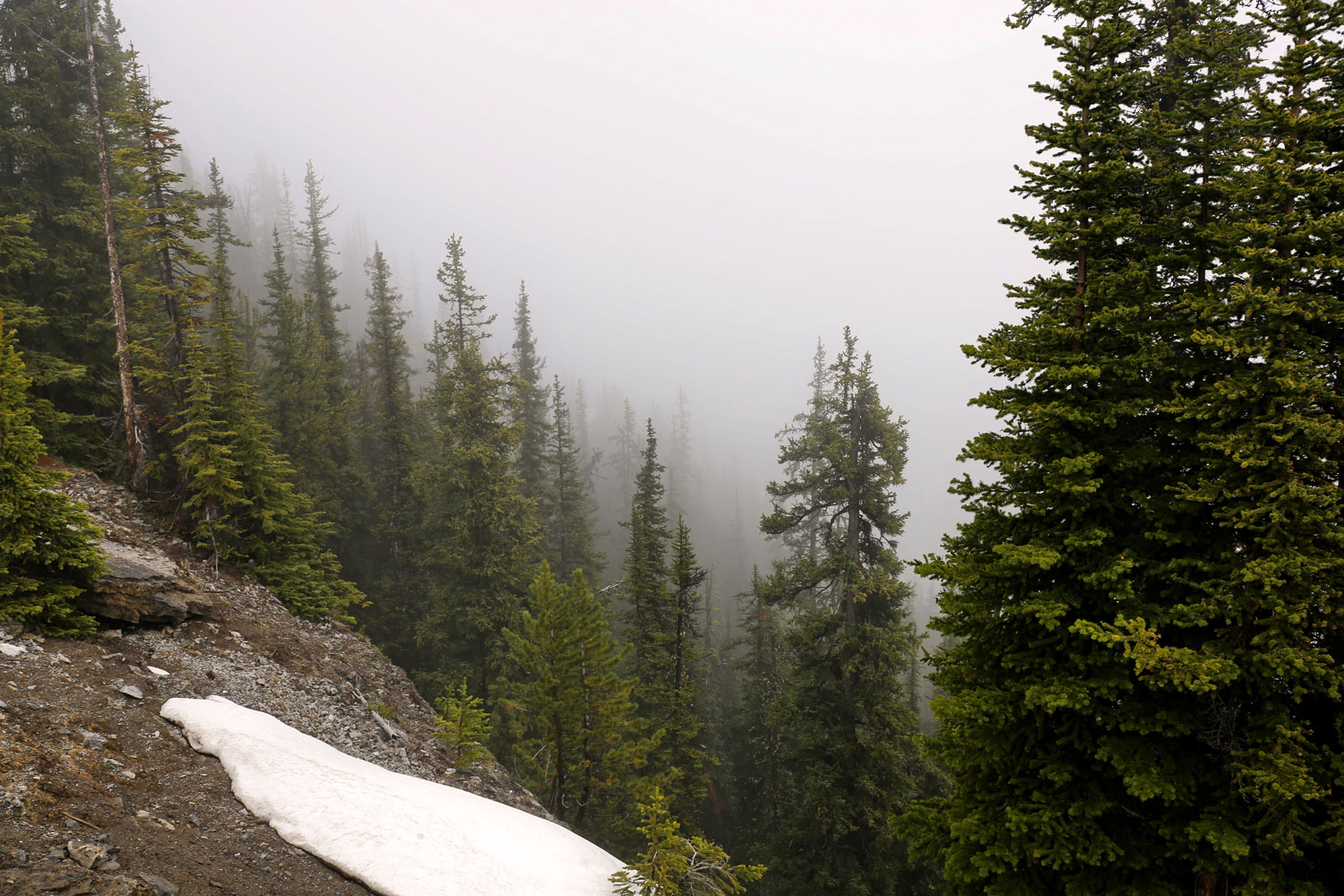 Banff National Park / for the love of nike