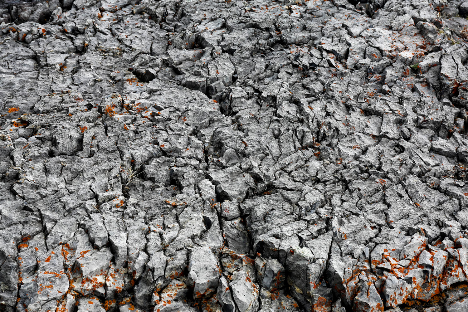 Banff National Park / for the love of nike