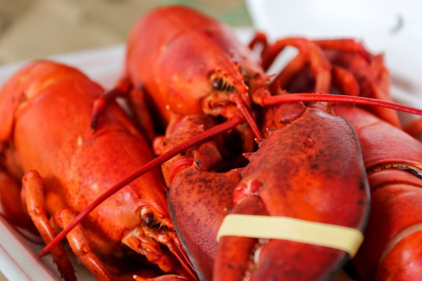 Nagshead, Outer Banks / for the love of nike