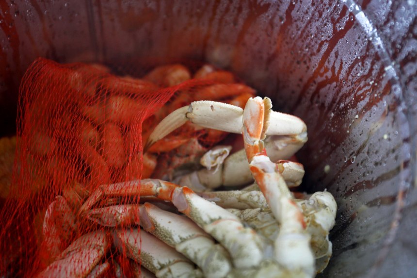 Nagshead, Outer Banks / for the love of nike