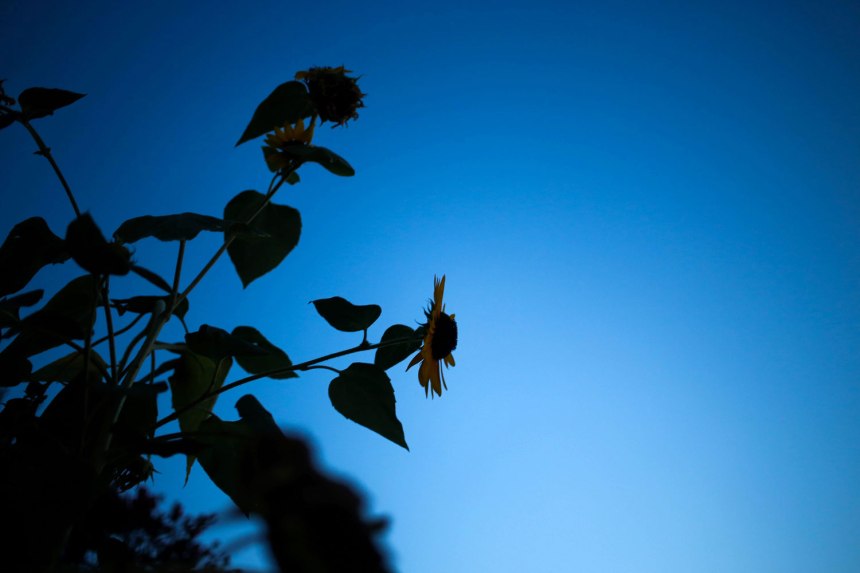 Rehoboth, DE / for the love of nike