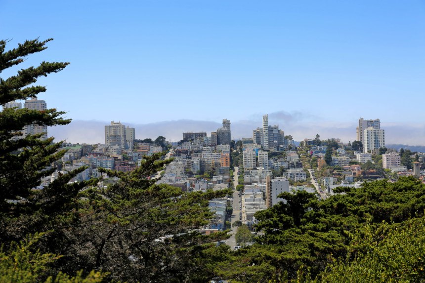 Sneakers in San Francisco / for the love of nike