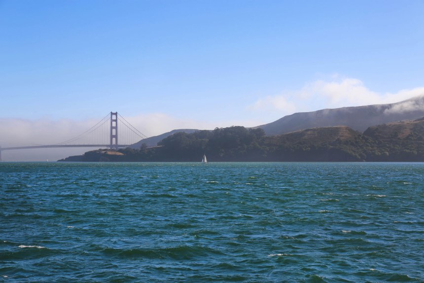 Sneakers in San Francisco / for the love of nike