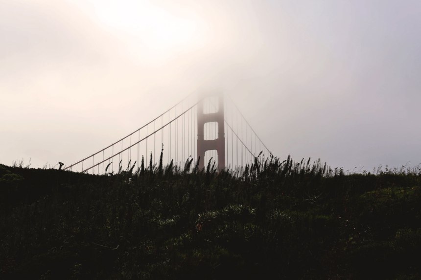 Sneakers in San Francisco / for the love of nike