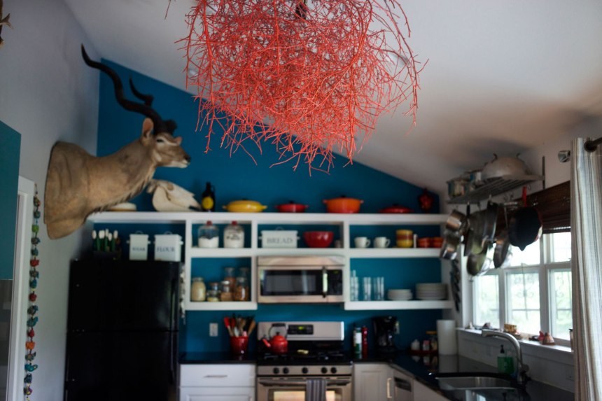 Adventures in Austin / for the love of nike